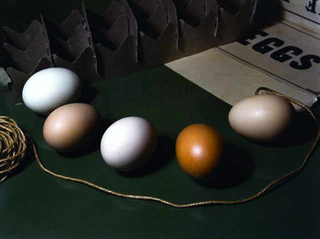 Imogen Cunningham. 'Five Eggs' 1951