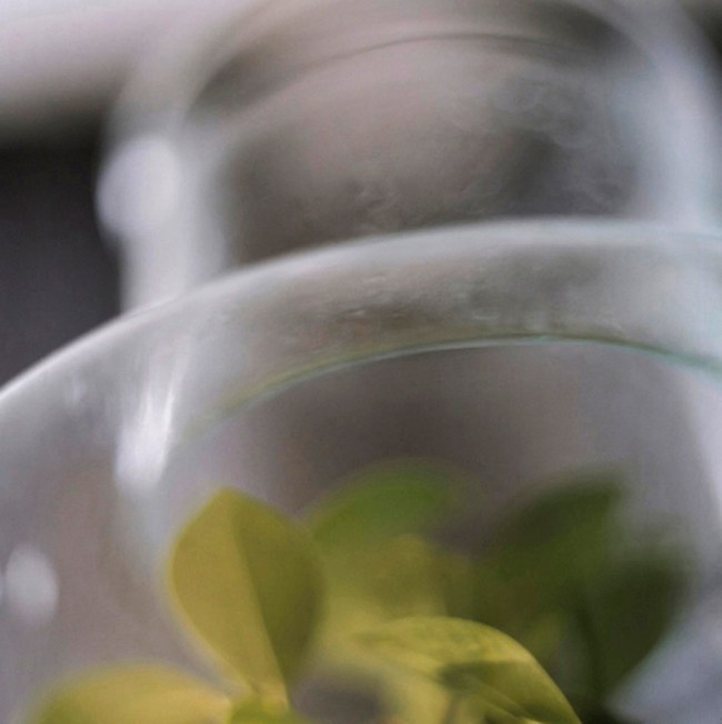 Darron Davies (Australian) 'Day’s Reach' 2012