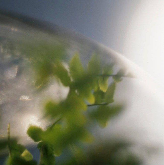 Darron Davies (Australian) 'Heaven’s Door' 2012