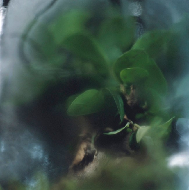 Darron Davies (Australian) 'The Second Dream' 2012