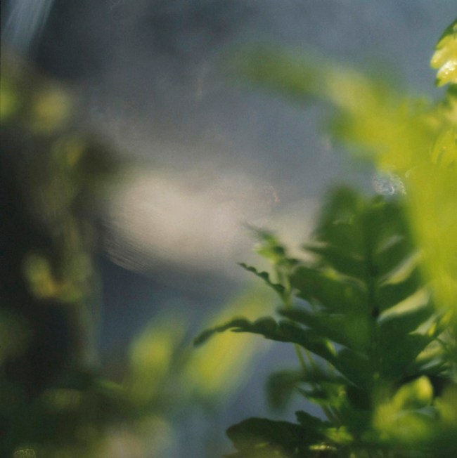 Darron Davies (Australian) 'The Light Play' 2012