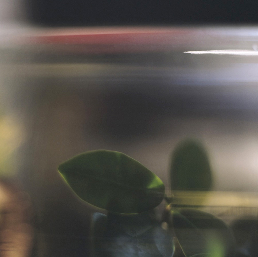 Darron Davies (Australian) 'The Red Shard' 2012 Darron Davies (Australian) 'The Red Shard' 2012