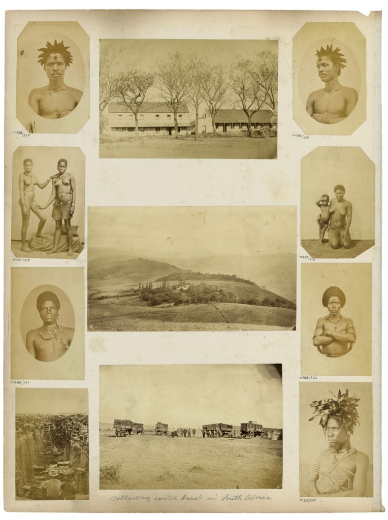 G. T. Ferneyhough (attr.) and unidentified photographers. 'Albumen prints mounted to album page' South Africa, last third of the nineteenth century