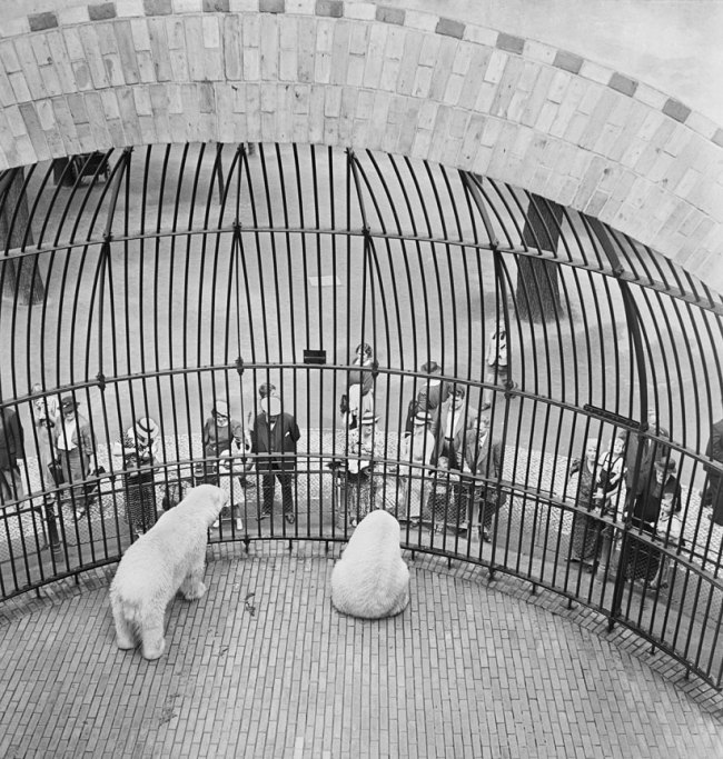 Roman Vishniac (Russian-American, 1897-1990) 'People behind bars, Berlin Zoo' early 1930s Roman Vishniac (Russian-American, 1897-1990) 'People behind bars, Berlin Zoo' early 1930s