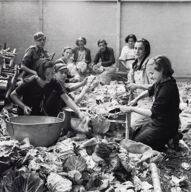Edith Tudor-Hart (Austrian-British, 1908-1973) 'Untitled (Children Preparing Vegetables, North Stoneham Camp, Hampshire)' 1937