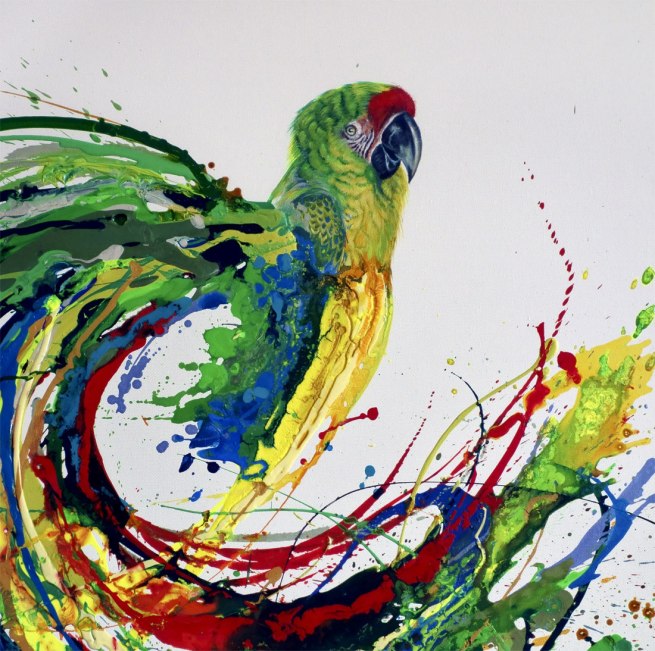 Gav Barbey. 'Macaw' Nd (detail)