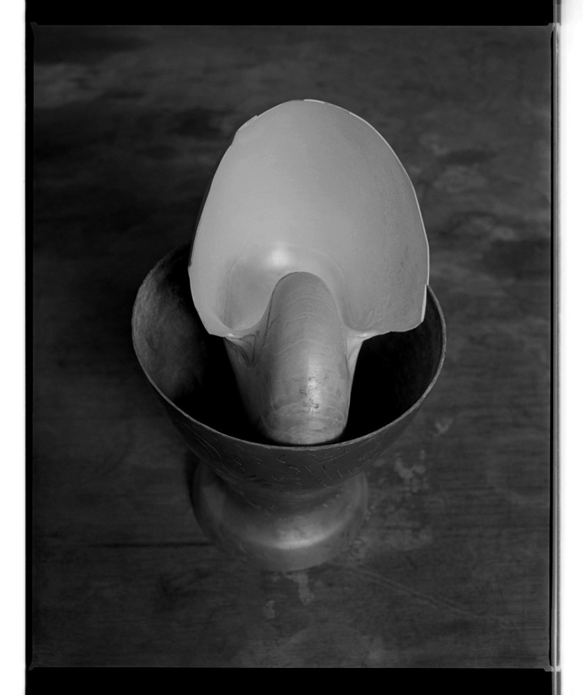 Marcus Bunyan. 'Nautilus shell in metal cup' 1994