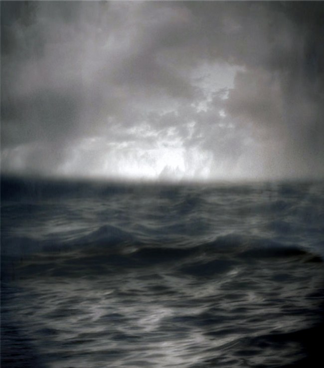 Sophia Szilagyi (Australian, b. 1973) 'settling' 2013