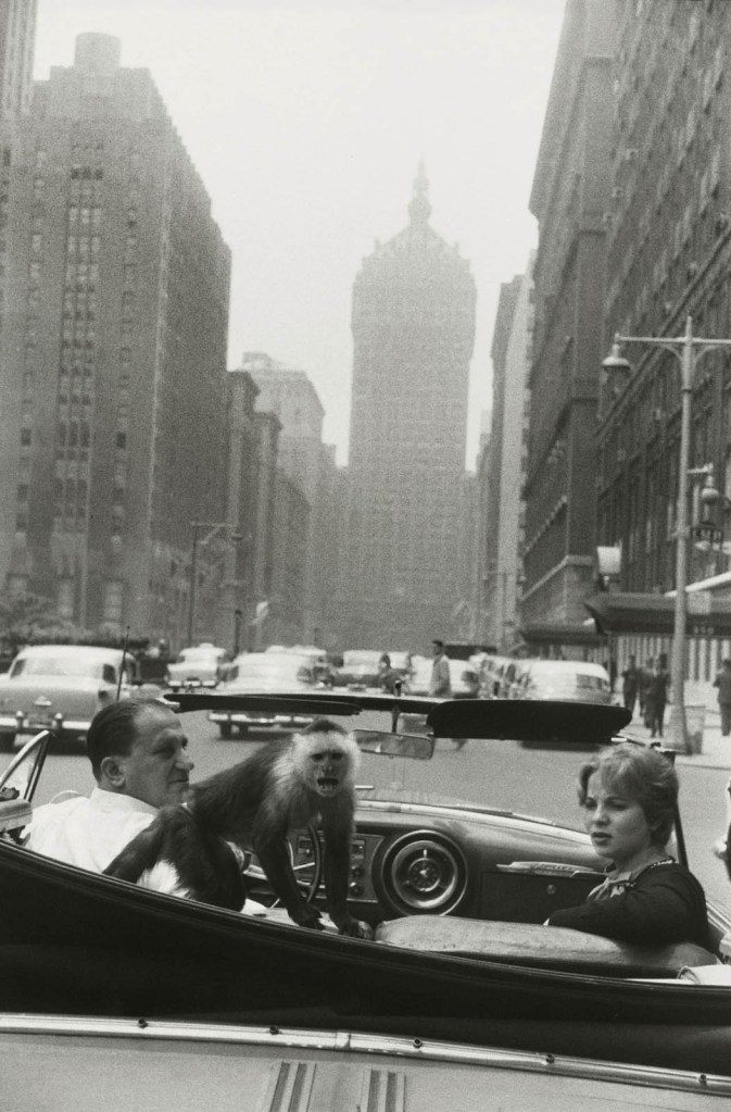 Garry Winogrand (American, 1928-1984) 'Park Avenue, New York' 1959