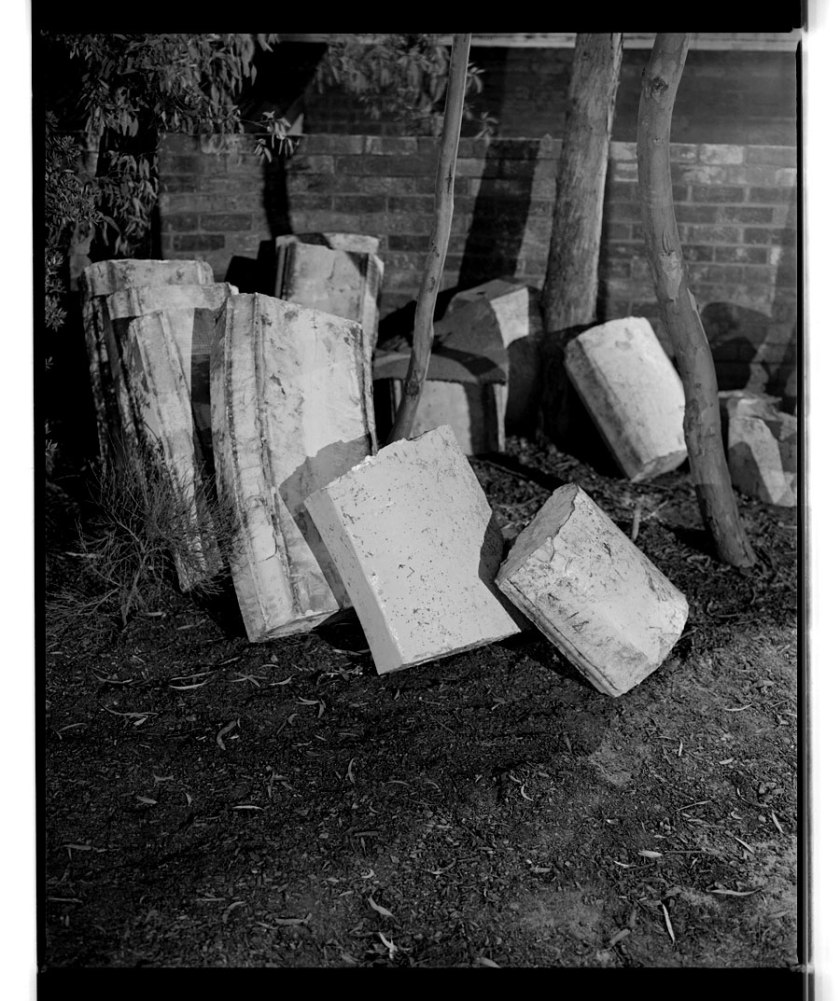 Marcus Bunyan. 'Trees, capstone, shadows' 1994