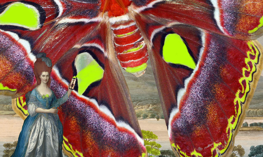 Exhibition: ‘Joan Ross: Touching Other People’s Shopping’ at Bett ...