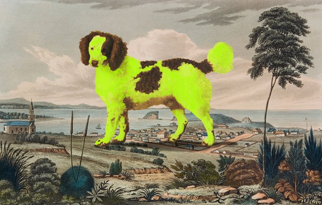 Joan Ross (Australian, b. 1961) 'Lassie come home' 2013