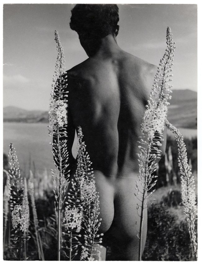 Herbert List (German, 1903-1975) 'Young Arab with foxtail lilies, Hammamet, Tunisia' 1935