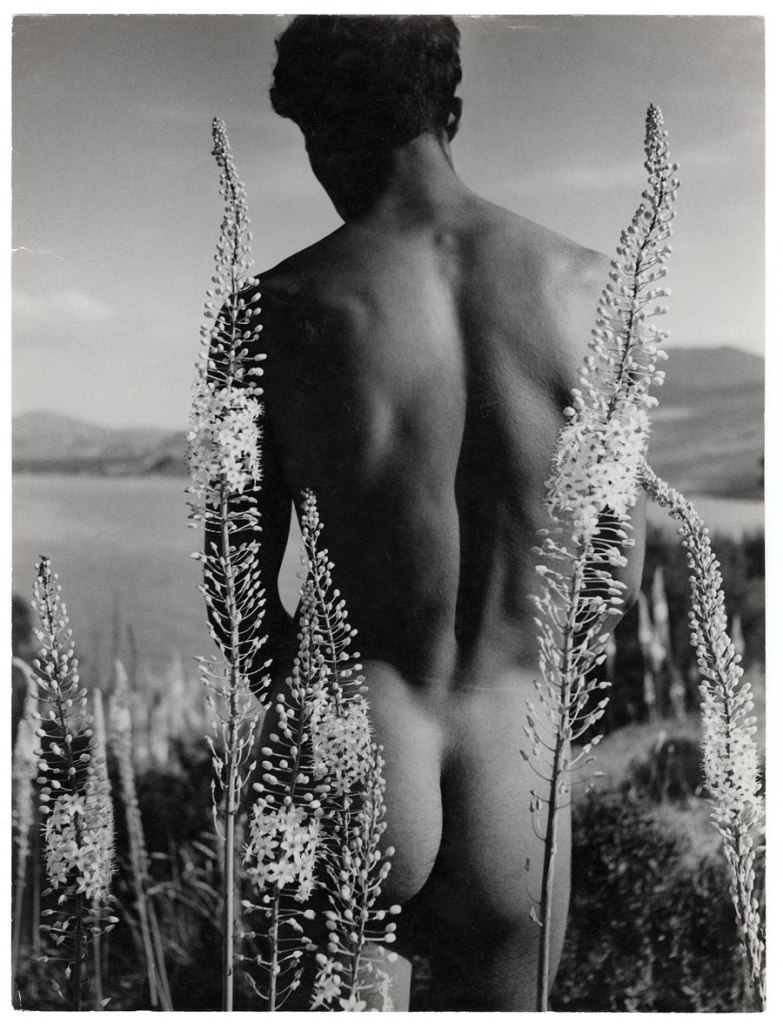 Herbert List (German, 1903-1975) 'Young Arab with foxtail lilies, Hammamet, Tunisia' 1935 from the exhibition 'The Naked Man' at Ludwig Museum of Contemporary Art, Budapest, March - June, 2013