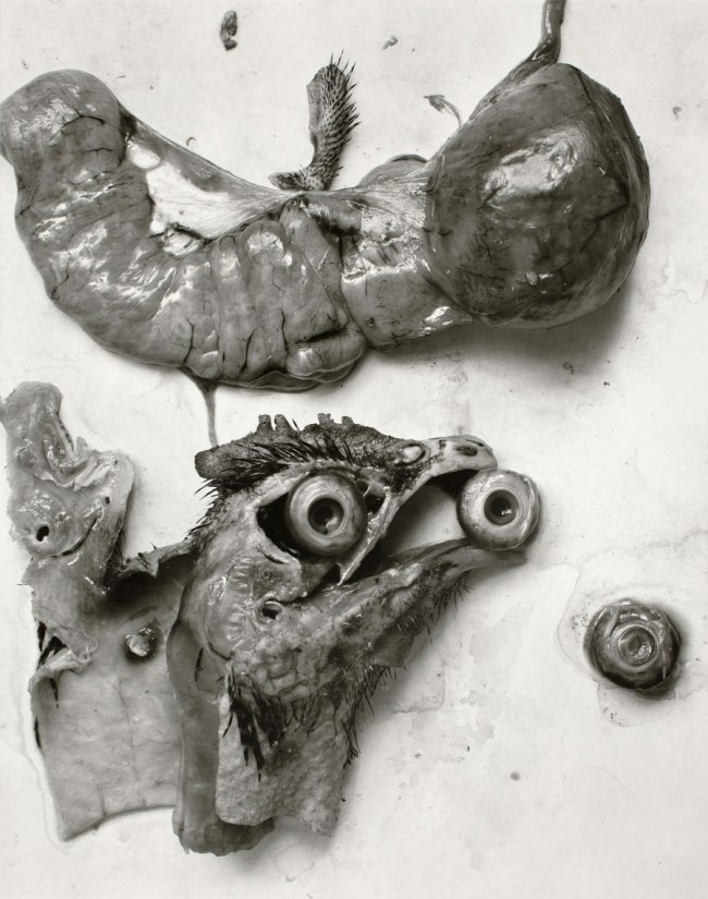 Frederick Sommer (American, 1905-1999) 'The Anatomy of a Chicken' 1939