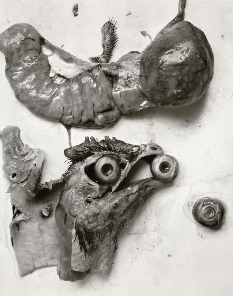 Frederick Sommer (American, 1905-1999) 'The Anatomy of a Chicken' 1939