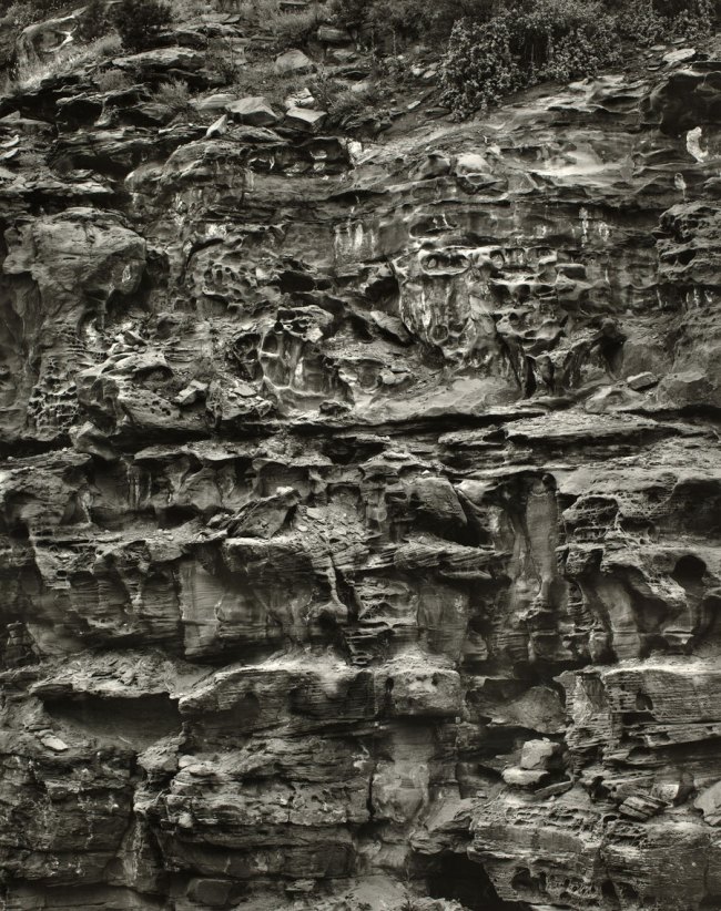 Frederick Sommer (American, 1905-1999) 'Untitled' 1947