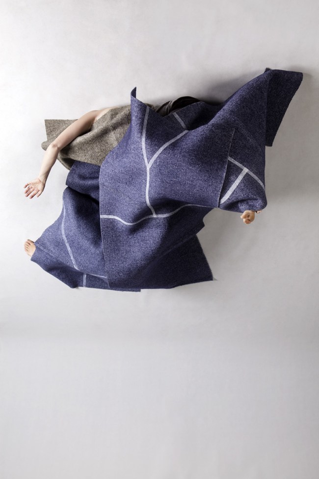 Anne Ferran (Australian, b. 1949) 'Agitated thrush' 2013