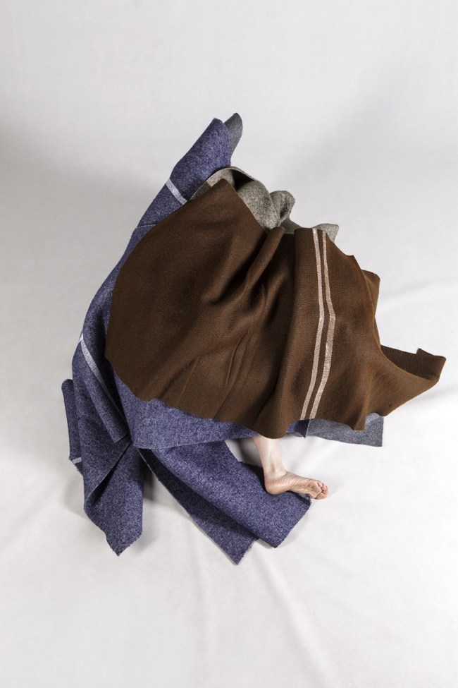 Anne Ferran (Australian, b. 1949) 'Conspicuous kite' 2013