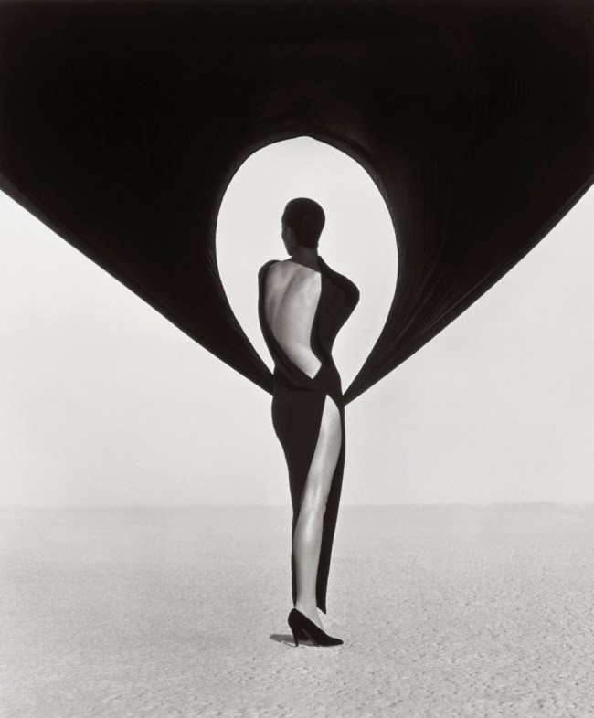 Herb Ritts (American, 1952-2002) 'Versace Dress, Back View, El Mirage' 1990