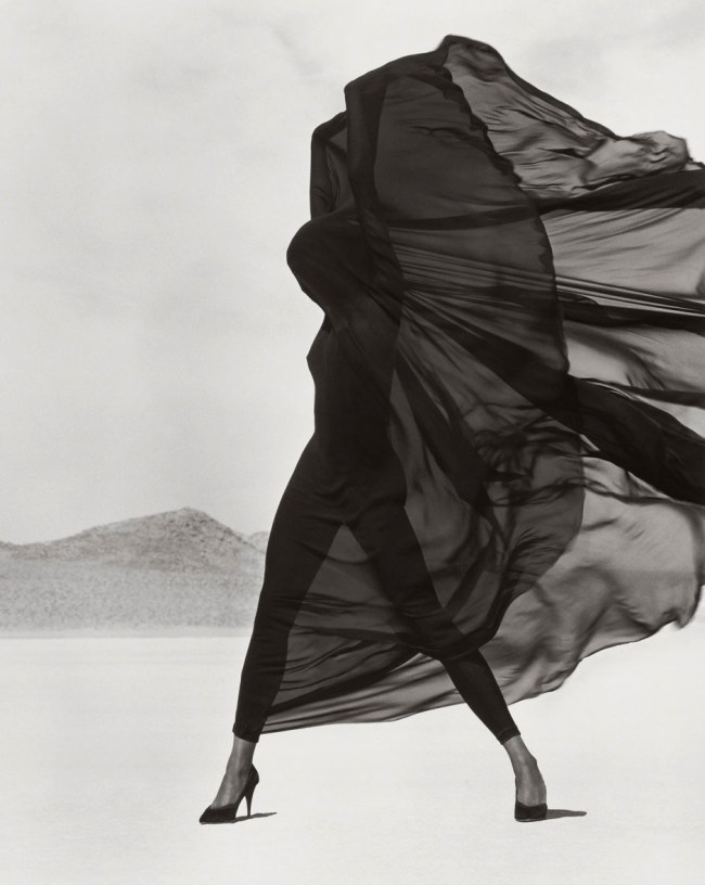 Herb Ritts (American, 1952-2002) 'Versace Veiled Dress, El Mirage' 1990