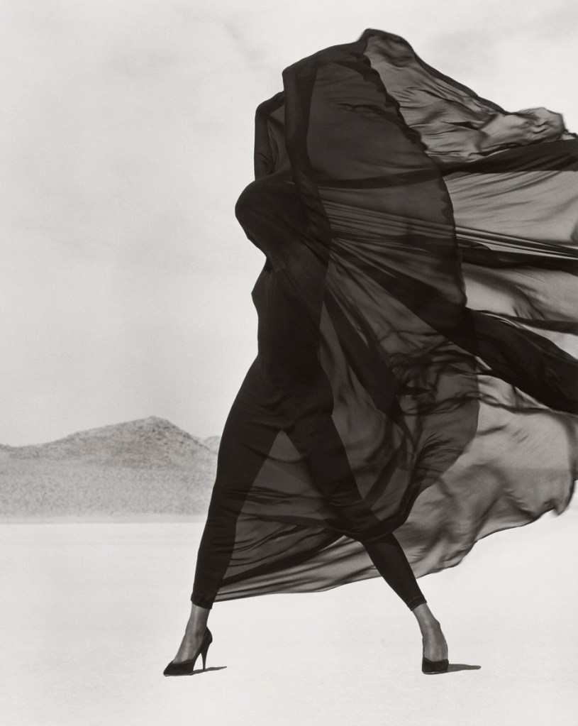 Herb Ritts (American, 1952-2002) 'Versace Veiled Dress, El Mirage' 1990
