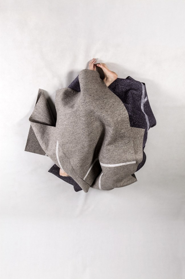 Anne Ferran (Australian, b. 1949) 'Stonebird' 2013