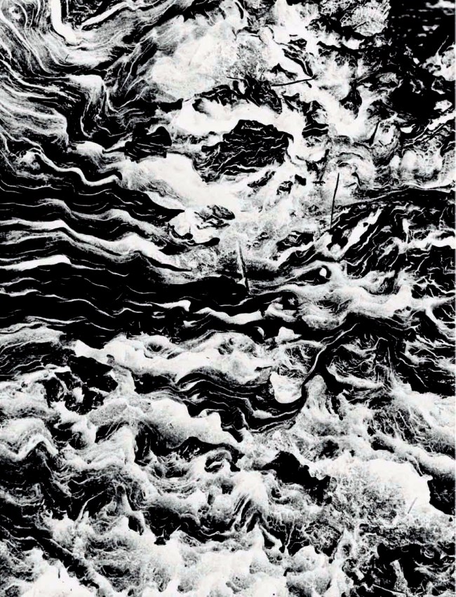 John Cato (Australian, 1926-2011) 'Tree, a journey #18' from the 'Tree, a journey' series 1971-73