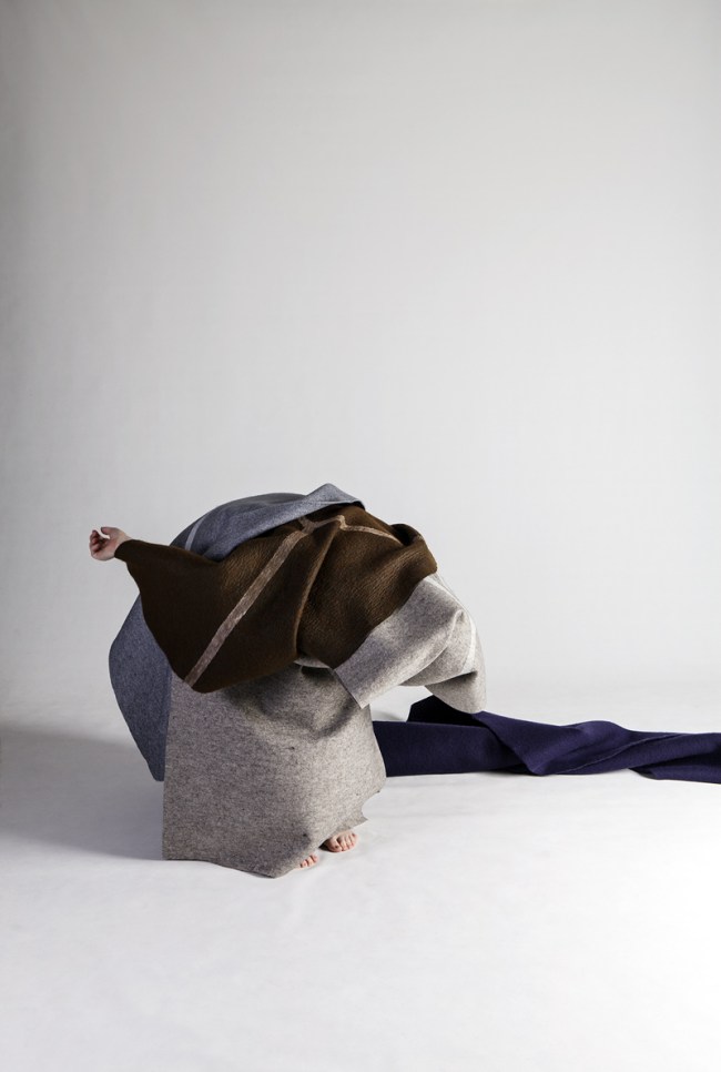 Anne Ferran (Australian, b. 1949) 'Tricoloured sylph' 2013