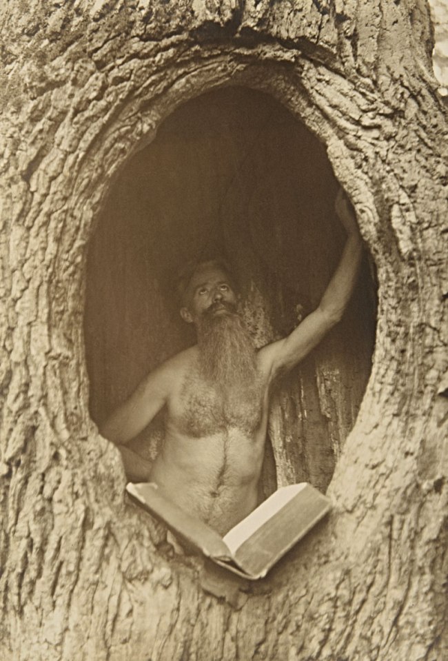Photographer unknown (Max Lorenz Nielsen?). 'Male Nude in Tree' c. 1900