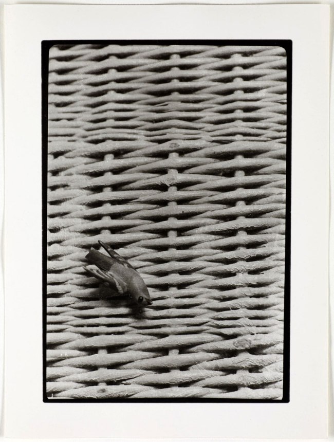 Otto Wols (Alfred Otto Wolfgang Schulze) (German, 1913-1951) 'Untitled (Still life - wicker and birds)' 1938 - August, 1939