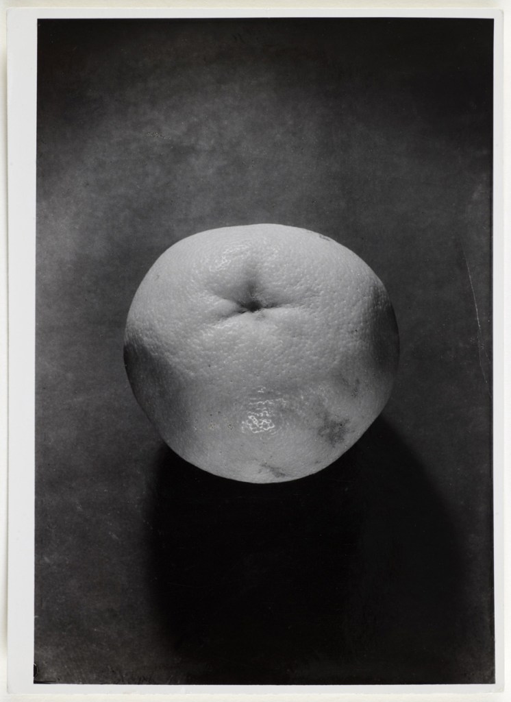 Otto Wols (Alfred Otto Wolfgang Schulze) (German, 1913-1951) 'Untitled (Still life - Grapefruit)' 1938 - August, 1939