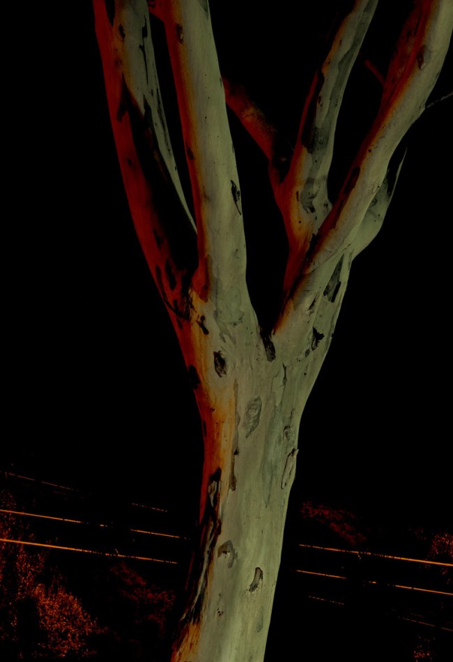 Andrew Follows (Australian, d. 2019) 'Torso, Eltham' 2013