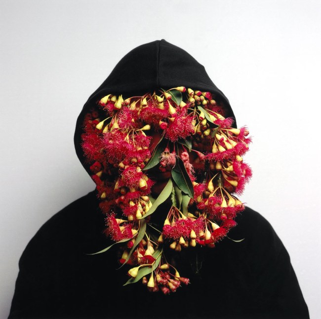 Christian Thompson (Australian, Queensland/New South Wales/Victoria Bidjarra/Kunja people b. 1978) 'Black Gum 2' (from 'Australian Graffiti' series) 2008