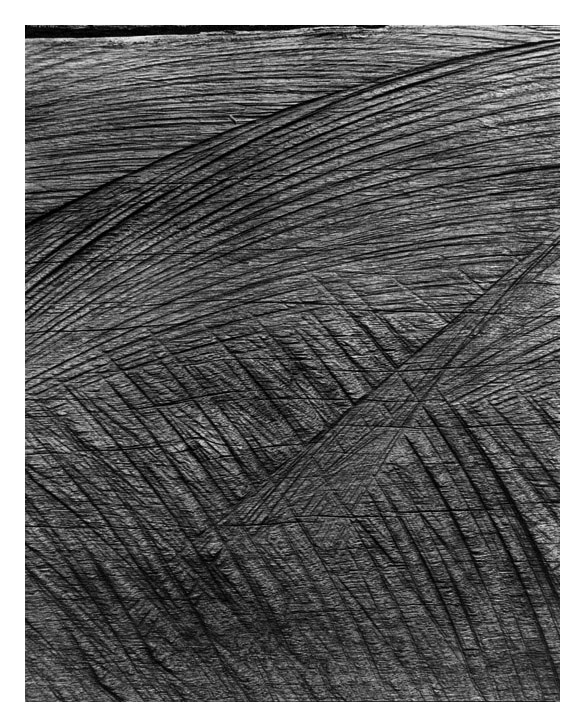 Marcus Bunyan. 'Untitled (comet)' 1994