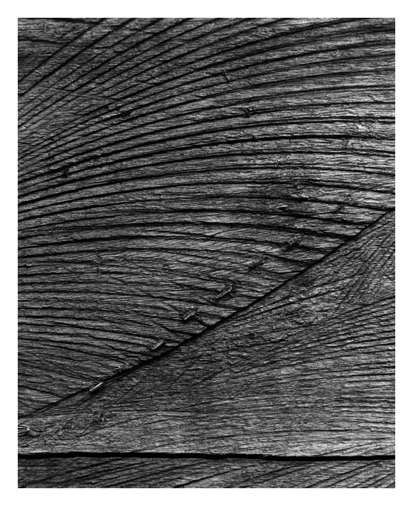 Marcus Bunyan. 'Untitled (bandsaw)' 1994