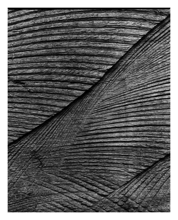 Marcus Bunyan. 'Untitled (bandsaw)' 1994