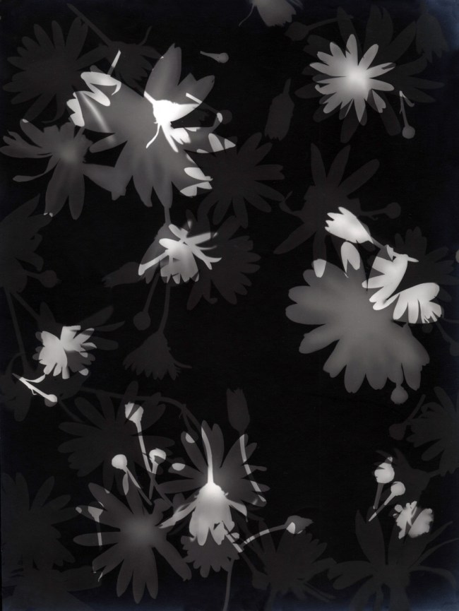 Lou Bonin-Tchimoukoff (French, 1906-1979) 'Rayograph #35 - #75' Paris, 1928