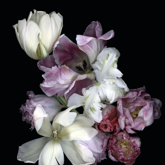 Luzia Simons (Brazilian, b. 1953) 'Stockage 104' 2010