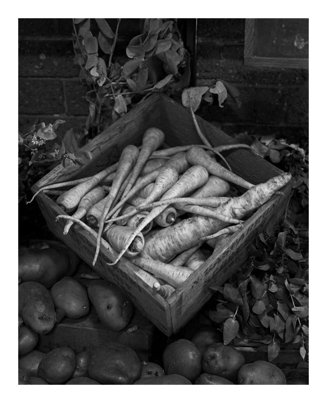 Marcus Bunyan (Australian, b. 1958) 'Parsnips and potatoes' 1994