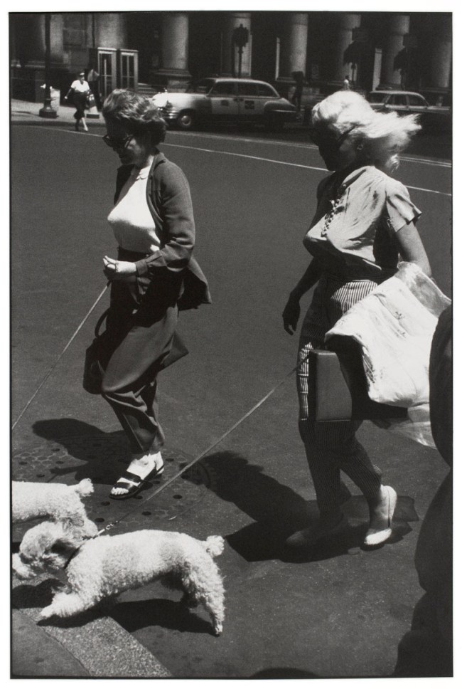 Garry Winogrand (American, 1928-1984) 'Untitled (Women Walking Poodles, New York)' about 1959