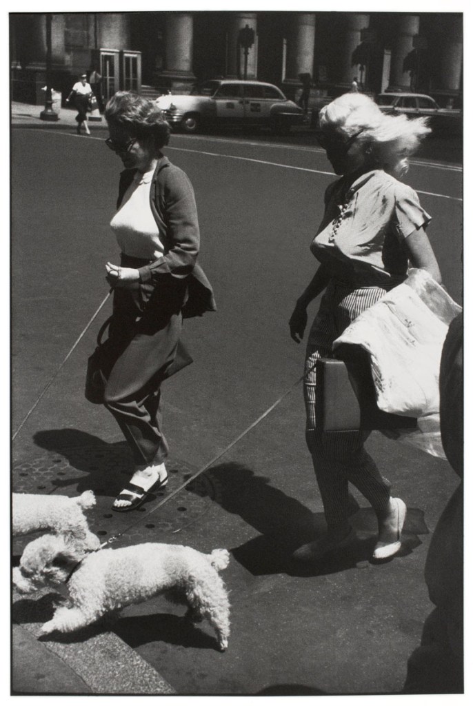 Garry Winogrand (American, 1928-1984) 'Untitled (Women Walking Poodles, New York)' about 1959