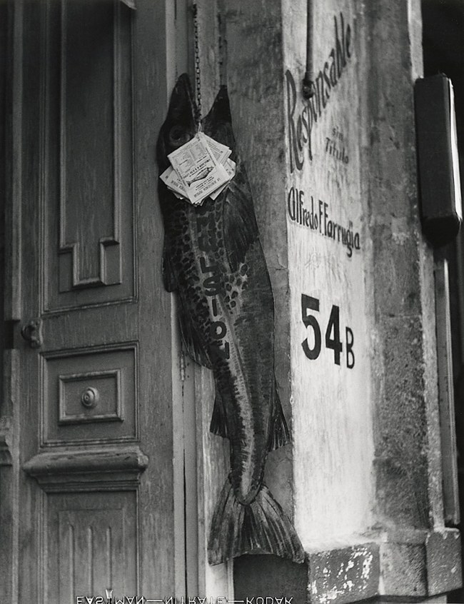 Manuel Álvarez Bravo (Mexican, 1902-2002) 'El pez grande se come a los chicos (The Big Fish Eats the Little Ones)' 1932