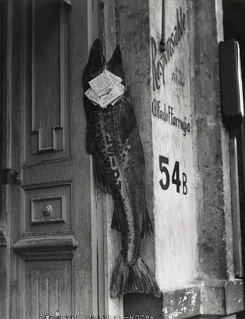 Manuel Álvarez Bravo (Mexican, 1902-2002) 'El pez grande se come a los chicos (The Big Fish Eats the Little Ones)' 1932 Manuel Álvarez Bravo (Mexican, 1902-2002) 'El pez grande se come a los chicos (The Big Fish Eats the Little Ones)' 1932