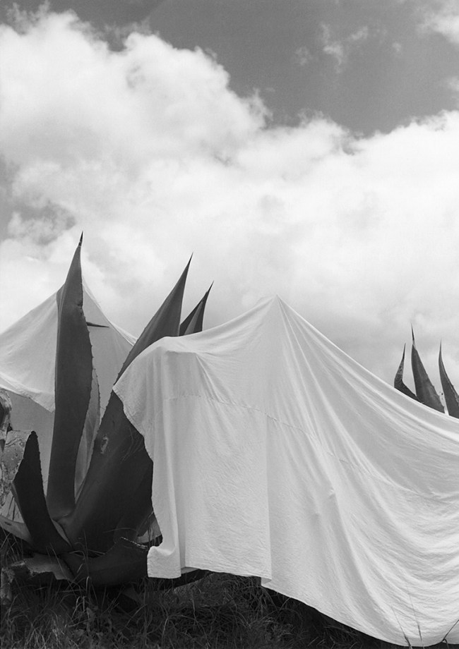 Manuel Álvarez Bravo (Mexican, 1902-2002) 'Las lavanderas sobreentendidas' 1932