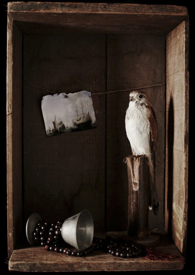 Amber McCaig (Australian) 'Untitled VII' 2013