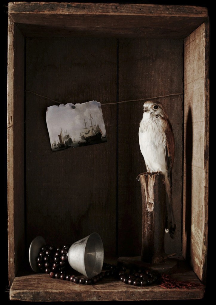 Amber McCaig (Australian) 'Untitled VII' 2013