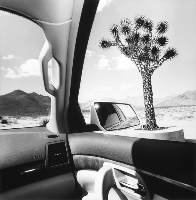 Lee Friedlander (American, b. 1934) 'California' 2008