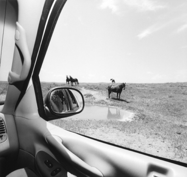 Lee Friedlander (American, b. 1934) 'Nebraska' 1999