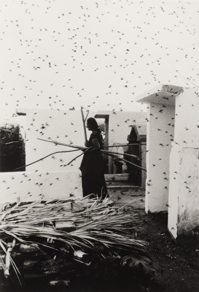 Graciela Iturbide (Mexican, b. 1942). 'Cementerio (Cemetery), Juchitán, Oaxaca' 1988